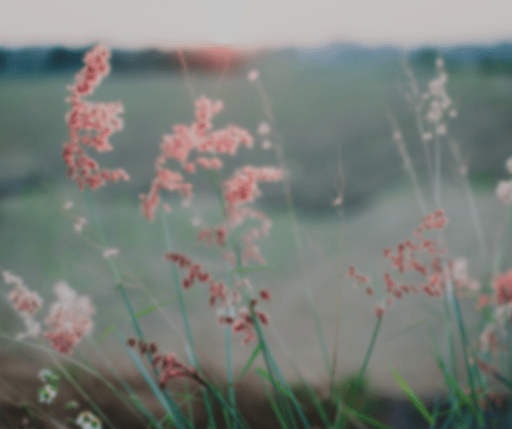 shiatsu-printemps-celine-montpellier